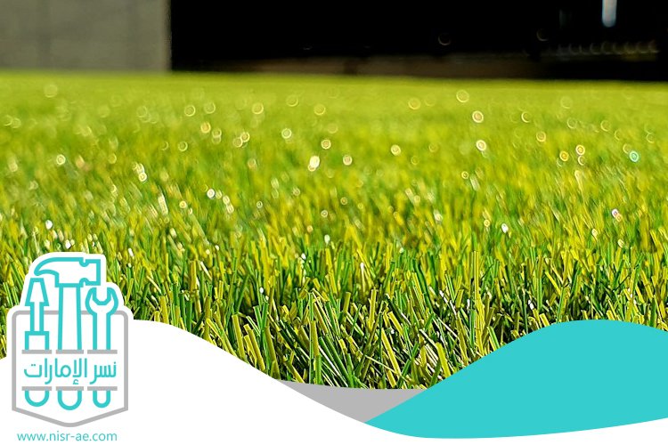 شركة لاند سكيب في عجمان 4 شركة لاند سكيب في عجمان