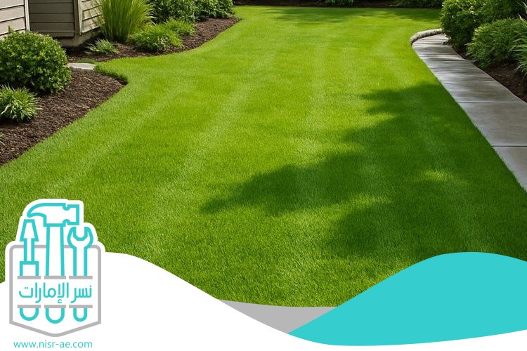 شركة لاند سكيب في دبي 5 شركة لاند سكيب في دبي